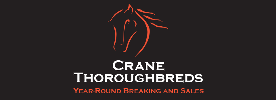 Crane Thoroughbreds, Year-Round Breaking & Sales